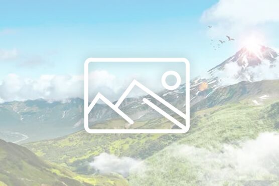 伟德体育召开2025年下半年安全和意识形态分析会